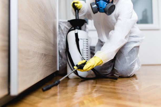 Flea Control Services in Cordele, GA