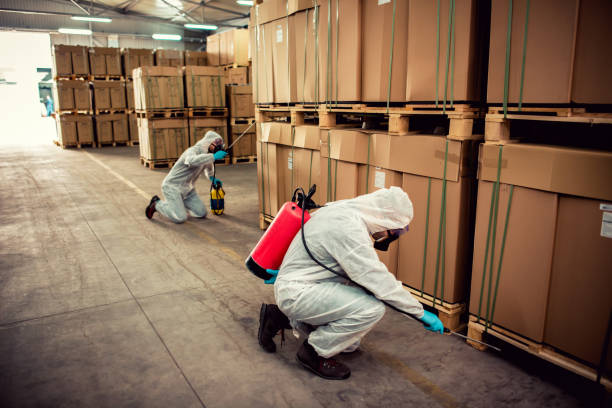 Best Affordable Pest Control Services  in Cordele, GA