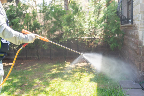 Best Flea Control Services  in Cordele, GA