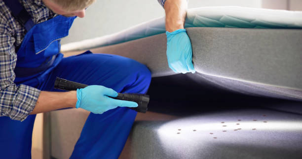 Professional Pest Control in Cordele, GA