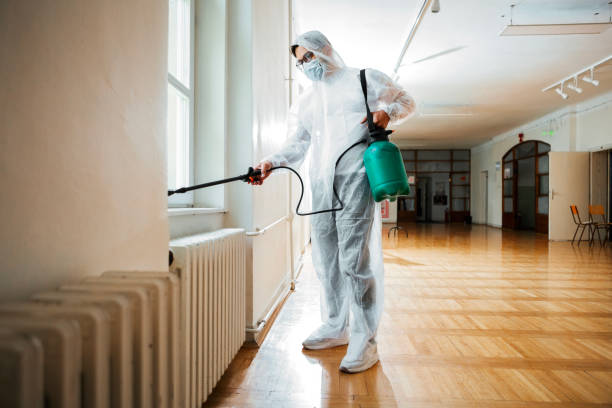 Best Termite Control Services  in Cordele, GA