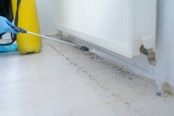 Best Exterminator Services  in Cordele, GA
