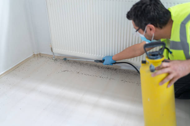 Best Mosquito Control Services  in Cordele, GA