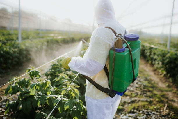 Best Affordable Pest Control Services  in Cordele, GA